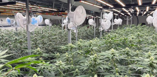 WhatsApp Image 2025-08-04 at 21.45.16